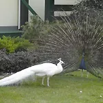 Grand - Business Boutique (adults Only) 4* Piest'any
